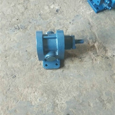 沧州宏润泵业有限公司供应2CY-3/2.5型齿轮泵-高压点火油泵