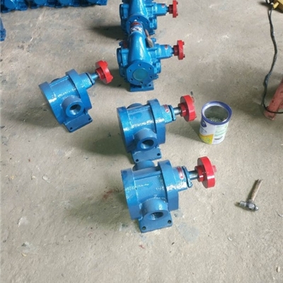 新乡高压油泵办事处-宏润2CY-7.5/2.5型不锈钢齿轮泵