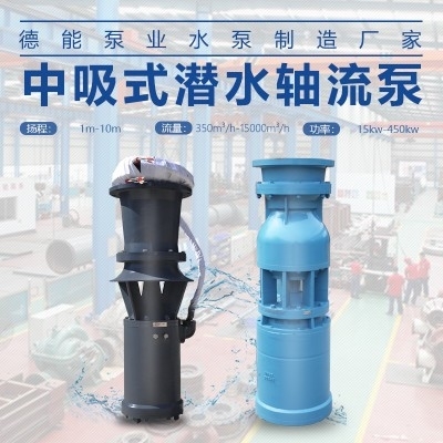 厂家直销 立式中吸型潜水轴流泵 排涝防汛轴流泵城市建设用泵
