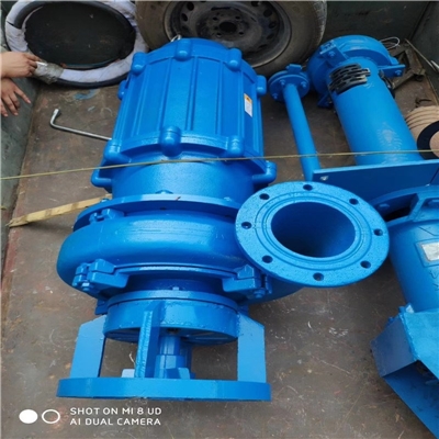 ZJQ潜水抽沙泵耐磨吸沙泵抽泥机大型渣浆泵河底清淤泥浆泵污泥泵