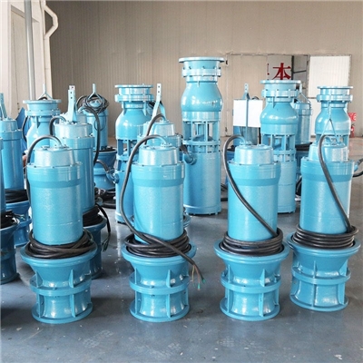 山东东营泵站新建潜水轴流泵厂家