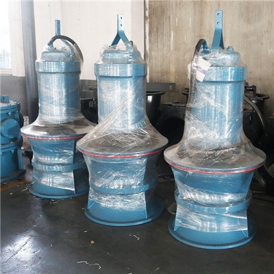 开发区轴流泵泵站建设施工方案指导