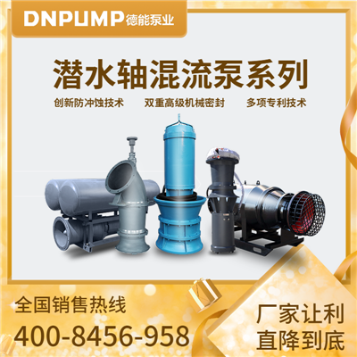 自主研发大功率高压潜水电机轴流泵