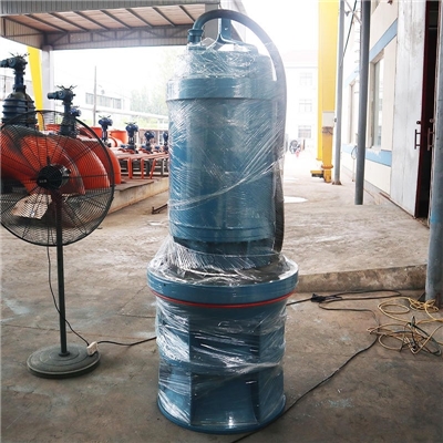 500QZB-50大流量潜水轴流泵参数