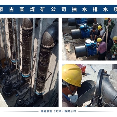 500QZB-100立式潜水轴流泵市场价