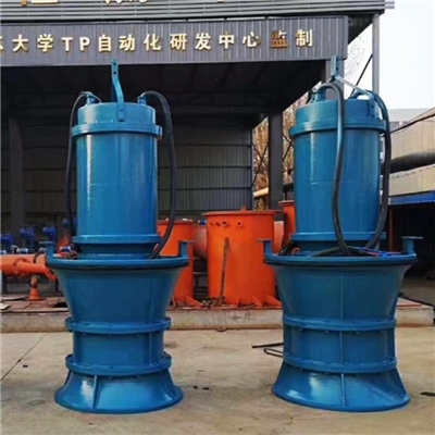 900口径QZB大功率大流量轴流泵厂家参数
