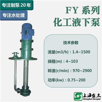 FY化工液下泵