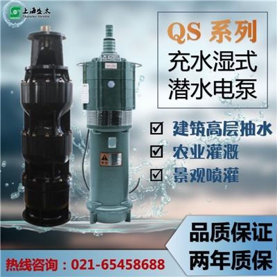 QS系列充水湿式潜水电泵