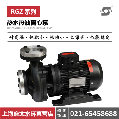 RGZ热水热油离心泵