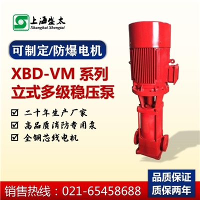 XBD-VM立式多级稳压泵盛太水环