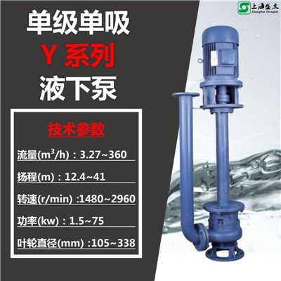 Y液下泵化工泵盛太水环