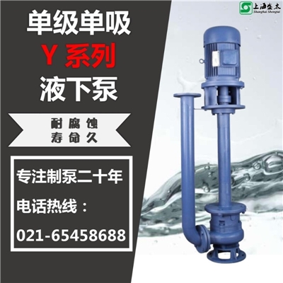 Y液下泵化工泵盛太水环