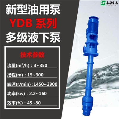 YDB多级液下泵盛太水环