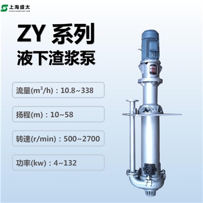 ZY离心式液下渣浆泵单级双吸立式单壳体渣浆泵