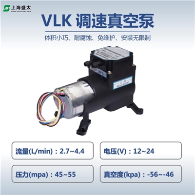 VLK微型调速真空泵