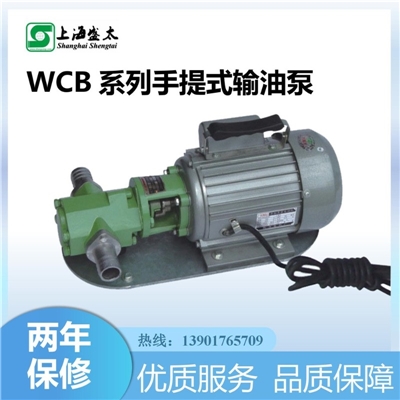 WCB手提式输油泵