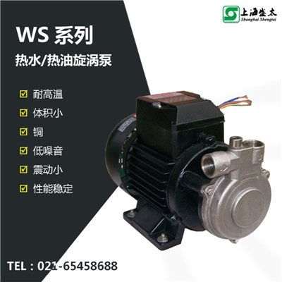 WS热水/热油旋涡泵盛太水环