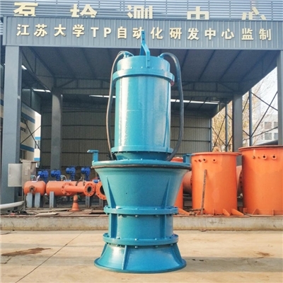 大型潜水轴流泵站建设厂家推荐