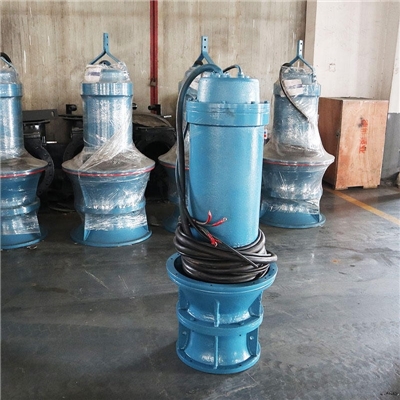 水上项目供水大流量轴流泵