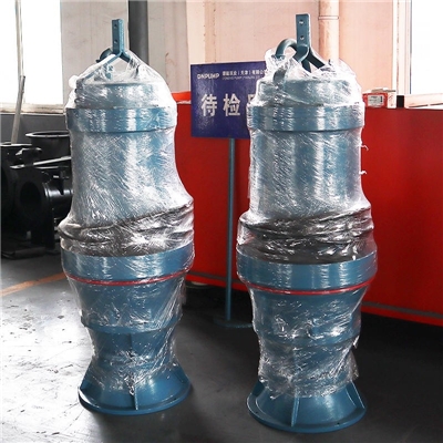 多种安装方式潜水轴流泵现场咨询