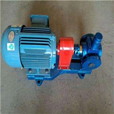 华潮YCB3.3-1.6不锈钢圆弧齿轮泵 日化专用泵