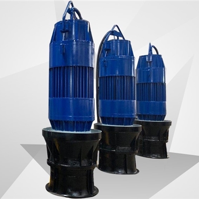 高压潜水轴（混）流泵