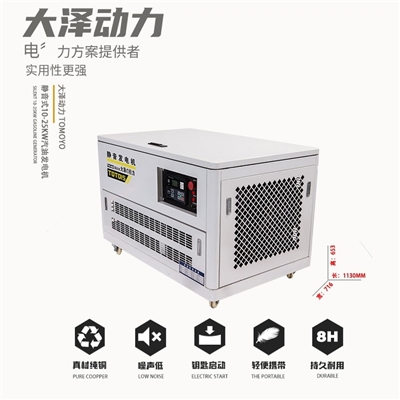 大泽动力10KW-25KW静音汽油发电机