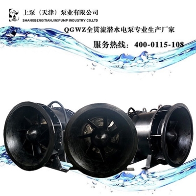 广东2400QGWZ全贯流潜水电泵厂家直销
