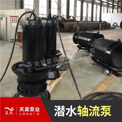 潜水轴流泵