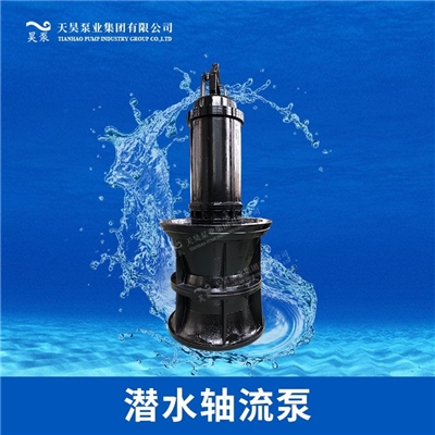 潜水轴流泵