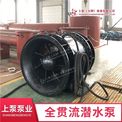 唐山泵站全贯流水泵