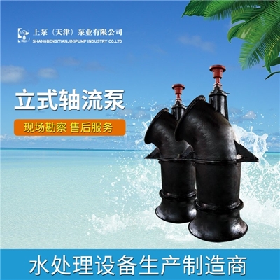 内蒙古水务公司立式轴流泵