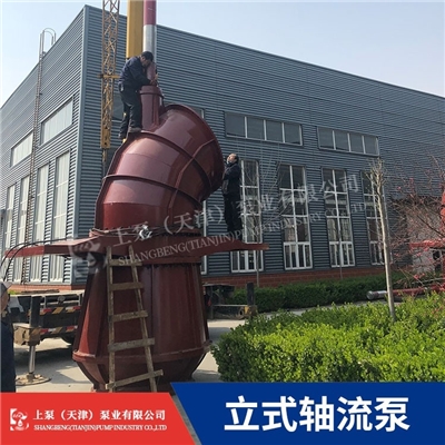 内蒙古水务公司立式轴流泵