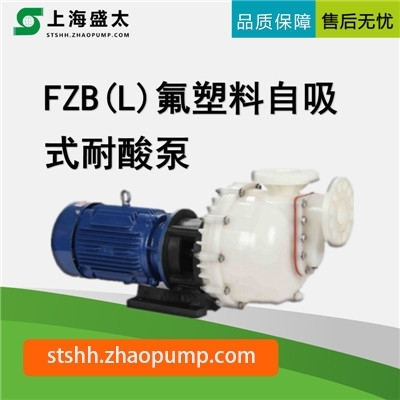 FZB(L)氟塑料自吸式耐酸泵型