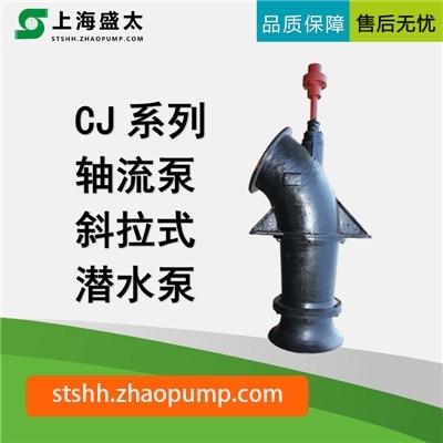 CJ系列轴流泵轴流潜水泵