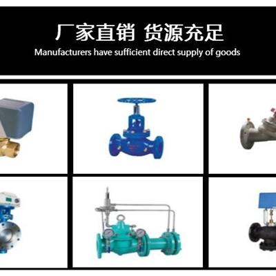 泰科阀门泰科200X可调式减压阀进口品质保证！