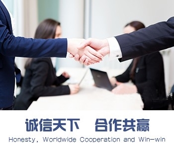 泰科阀门TKYCO水锤消除器进口质量