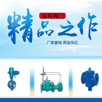 泰科阀门TKYCO水锤消除器进口质量