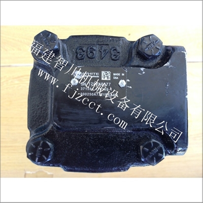 福建现货怀特齿轮泵300250A7321BAAAB