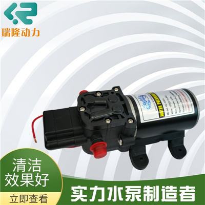 自动隔膜泵 喷雾器隔膜泵