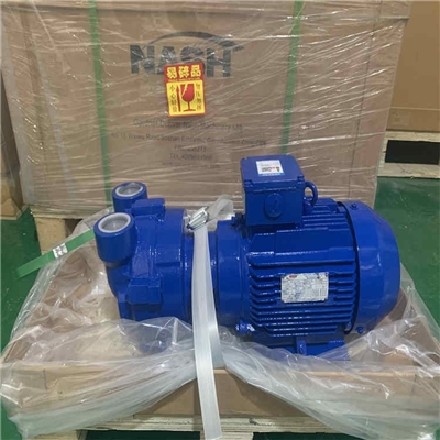 Nash佶缔纳士真空泵2BV2070-ONC00-2P 医用负压真空泵