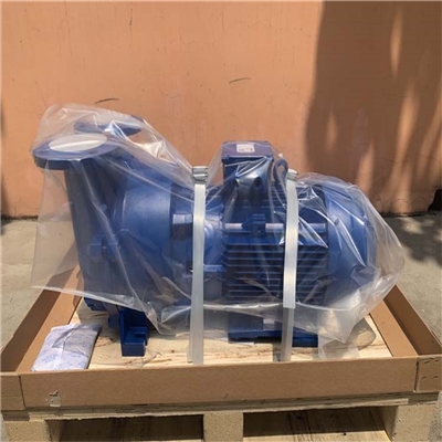 厂价进口品牌 真空泵2BV5121-OKC00-7P