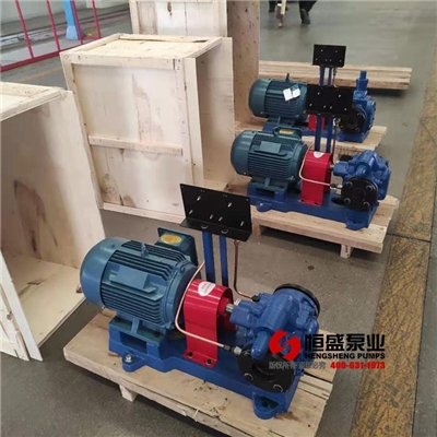 齿轮油泵/齿轮泵KCB483.3