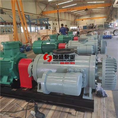 双螺杆泵2W.W5.5
