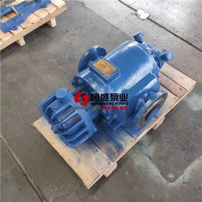 双螺杆泵2W.W5.5