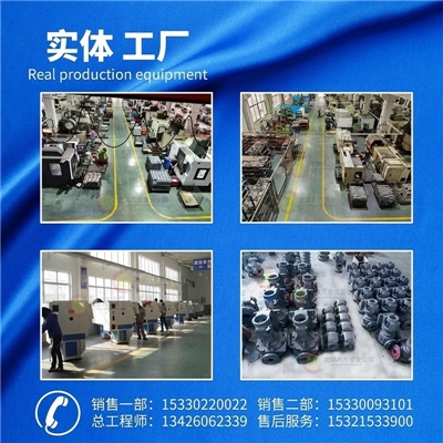 YPB滑片泵