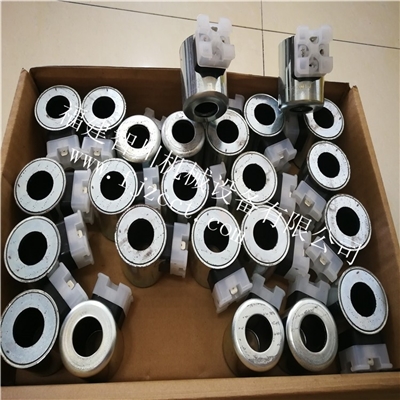 R900021389厦门原装正品力士乐线圈