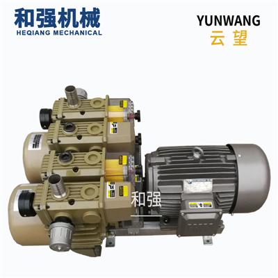 云望WZB120-P-VBVB-03 贴膜机 覆膜机 等自动机械用真空泵