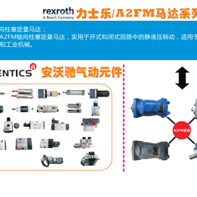 力士乐现货	R911295578	MSM040B-0300-NN-M0-CC0