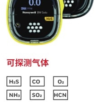?solo硫化氢报警器BWS2-H-Y